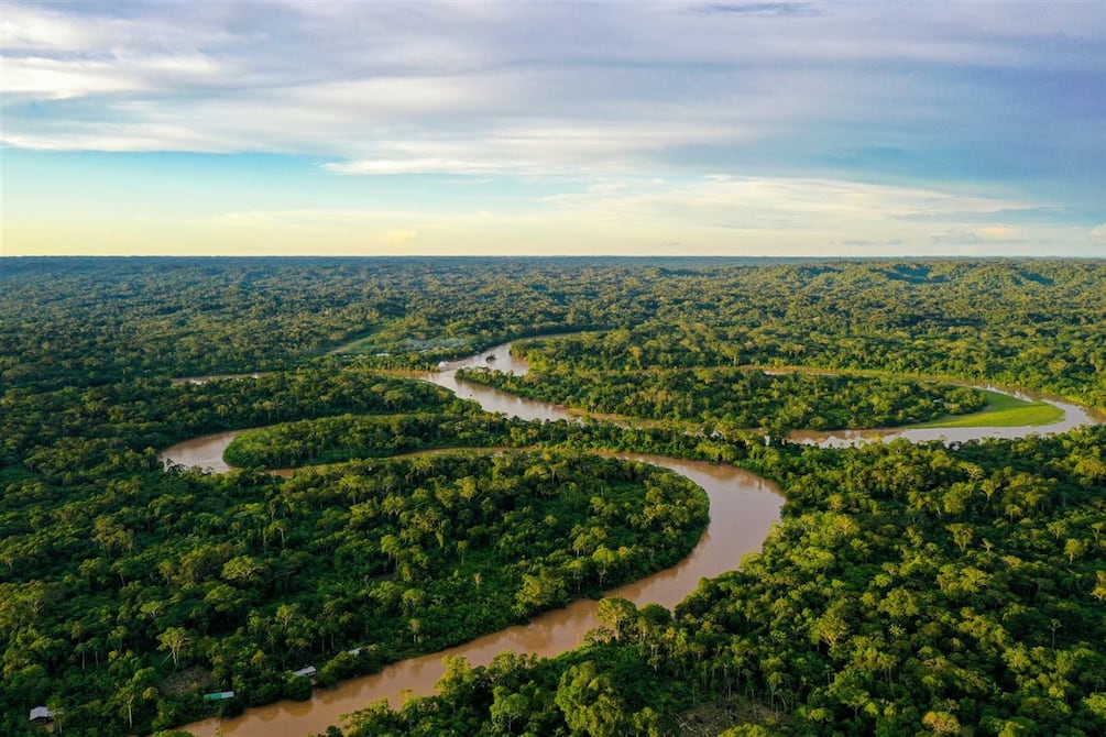 Amazonía de Ecuador pierde más carbono forestal del que gana | Ecuador | Noticias