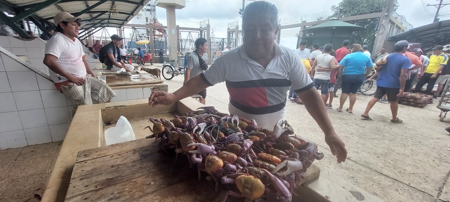 Cangrejos rojo y azul están en veda desde el 23 de agosto | Ecuador | Noticias