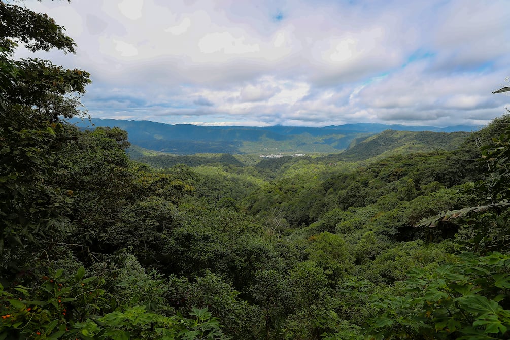 Chocó Andino, un oasis protegido de Ecuador que divide a los ambientalistas y mineras | Ecología | La Revista