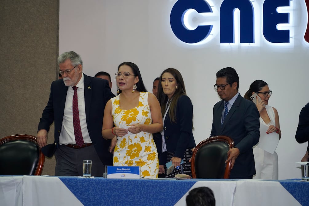 En el CNE hay 103 pedidos de acompañamiento para las primarias de las organizaciones políticas | Política | Noticias