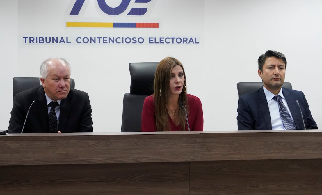 Jueces electorales alertan de un posible conflicto de interés en el trámite de la acción de protección de Fernando Muñoz | Política | Noticias