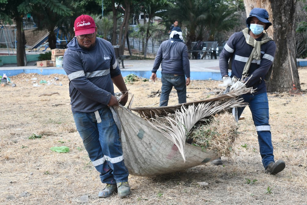 Municipio interviene áreas verdes de Las Acacias, Mapasingue y Los Ceibos | Comunidad | Guayaquil