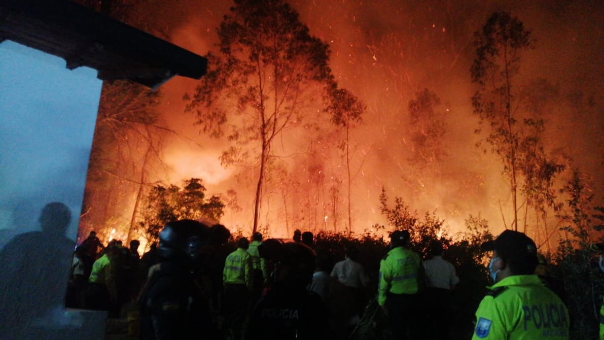 A hospitales del Ministerio de Salud fueron trasladadas personas afectadas tras incendios forestales en Quito | Ecuador | Noticias