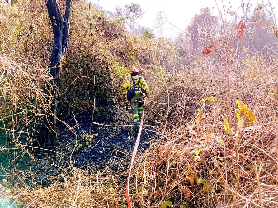 Bomberos de Guayaquil atienden nuevo incendio forestal en la vía a Daule | Comunidad | Guayaquil