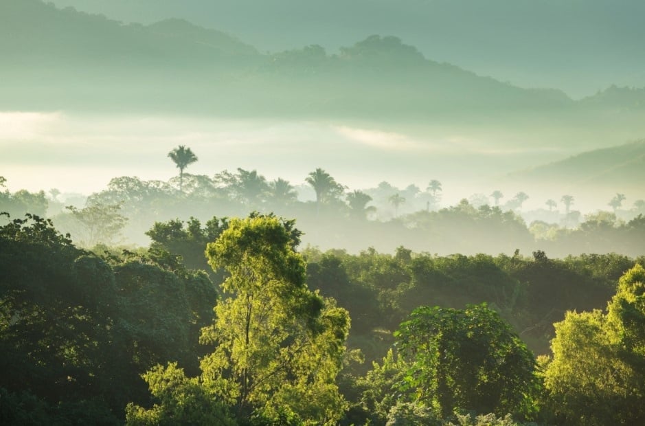 Durante eventos de El Niño se registra más CO2 en la atmósfera, indica estudio | Ecología | La Revista