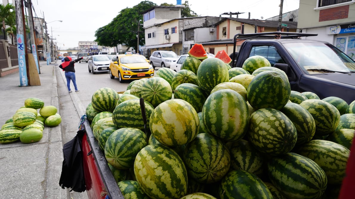 La buena cosecha de sandía lleva a que en las calles de Guayaquil se venda desde $ 1 | Comunidad | Guayaquil