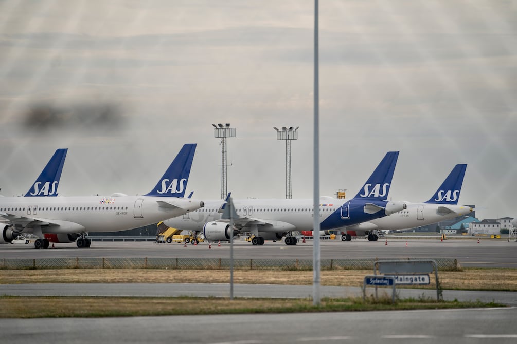 Un avión aterriza de emergencia debido a un ratón que saltó de la comida de un pasajero | Internacional | Noticias