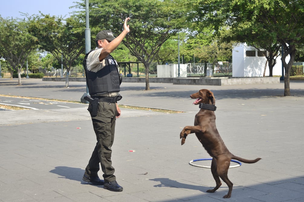 Un curso gratuito de adiestramiento canino en el Parque Samanes realizará la Policía Nacional desde el 15 de septiembre | Comunidad | Guayaquil