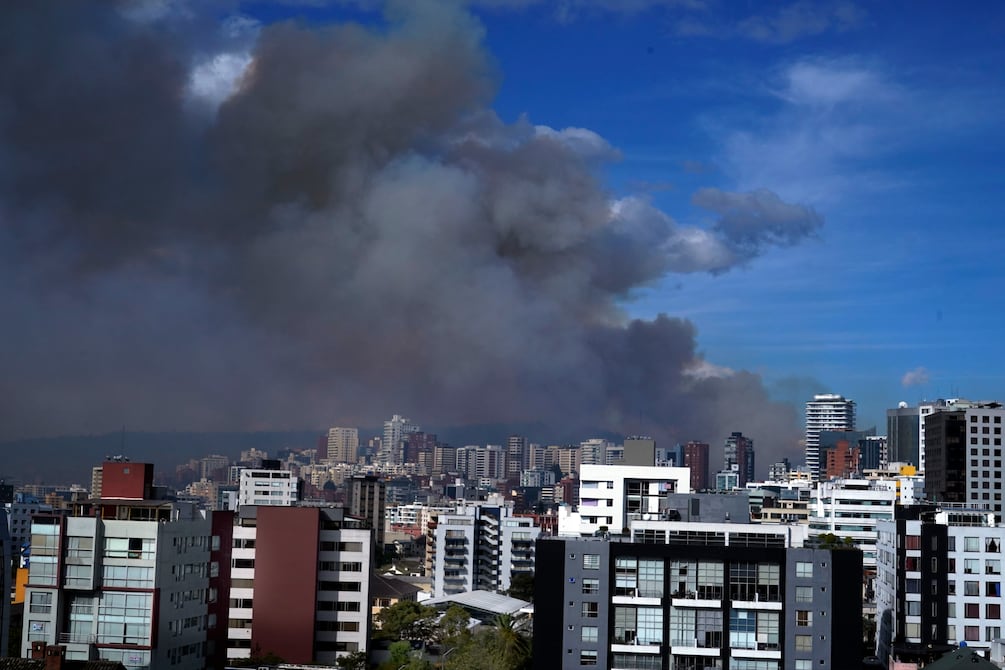 ¿Se procesará por terrorismo a quienes provocaron incendio forestal en Quito? | Ecuador | Noticias