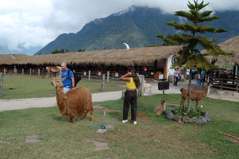 Después de este feriado con vaivenes de cortes, el sector turístico anhela que para noviembre haya una mejor planificación | Ecuador | Noticias