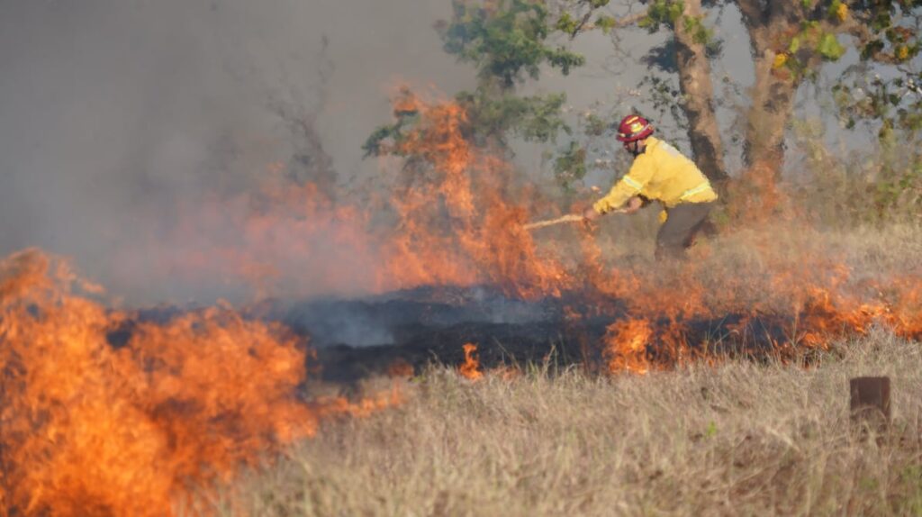 Bomberos combaten incendio que afecta terrenos ubicados en ambos costados de la vía Guayaquil-Santa Elena, en el km 47 | Comunidad | Guayaquil