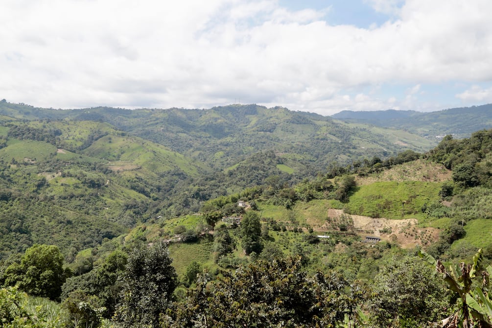 Daños ambientales de la minería ilegal en tres zonas de Ecuador fueron evaluados por tres universidades | Economía | Noticias