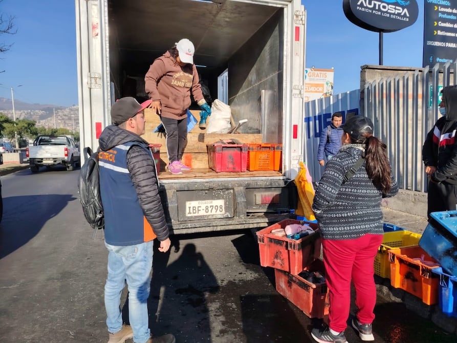 Pescado en inadecuadas condiciones sanitarias se vendía en el norte de Quito | Ecuador | Noticias