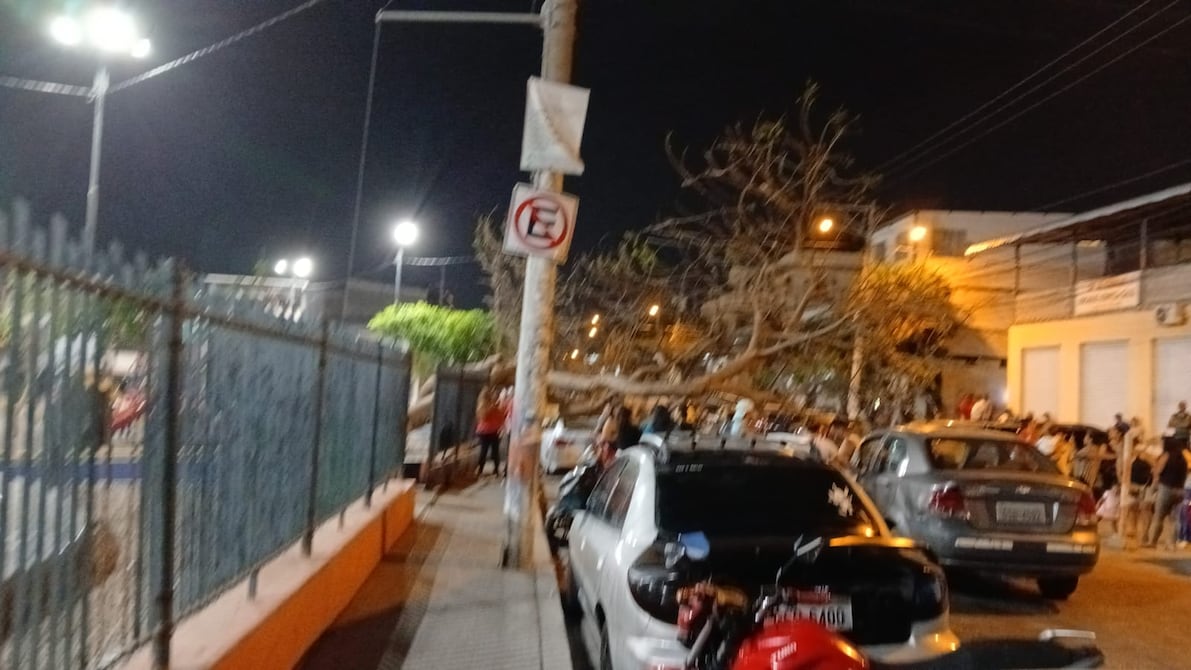 Un árbol cayó y afectó un vehículo en la ciudadela Martha de Roldós | Comunidad | Guayaquil