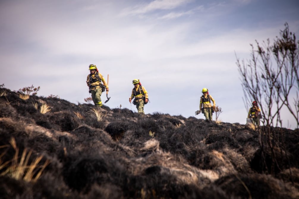 Con apoyo de brigada de incendios forestales se controla fuego en Los Illinizas | Ecuador | Noticias