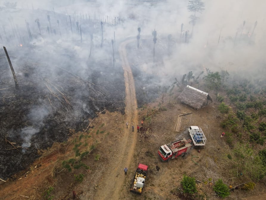 Incendios forestales fueron controlados por bomberos de Puerto Quito y Quinindé | Ecuador | Noticias