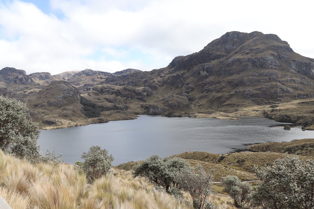 Localizan ‘sanas y salvas’ a 10 personas extraviadas en parque nacional en Cuenca | Ecuador | Noticias