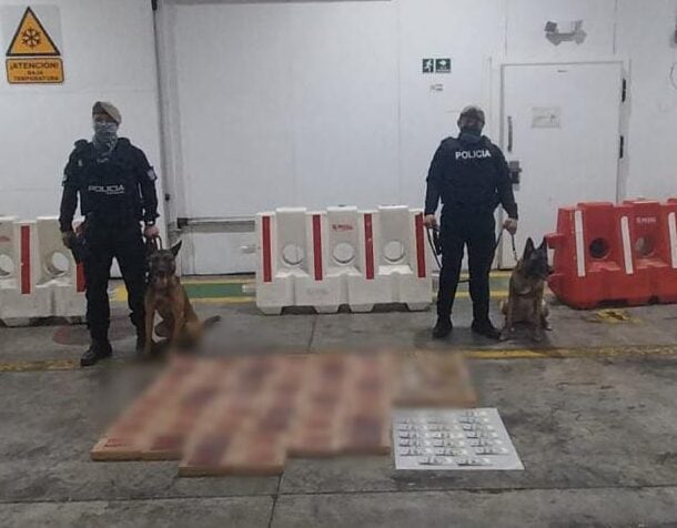 58 kilos de droga se pretendían enviar vía marítima a Bélgica | Seguridad | Noticias