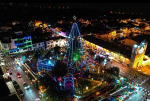 Árbol natural de más de 30 metros se ilumina en Navidad y atrae a turistas al cantón Mira, en Carchi | Ecuador | Noticias