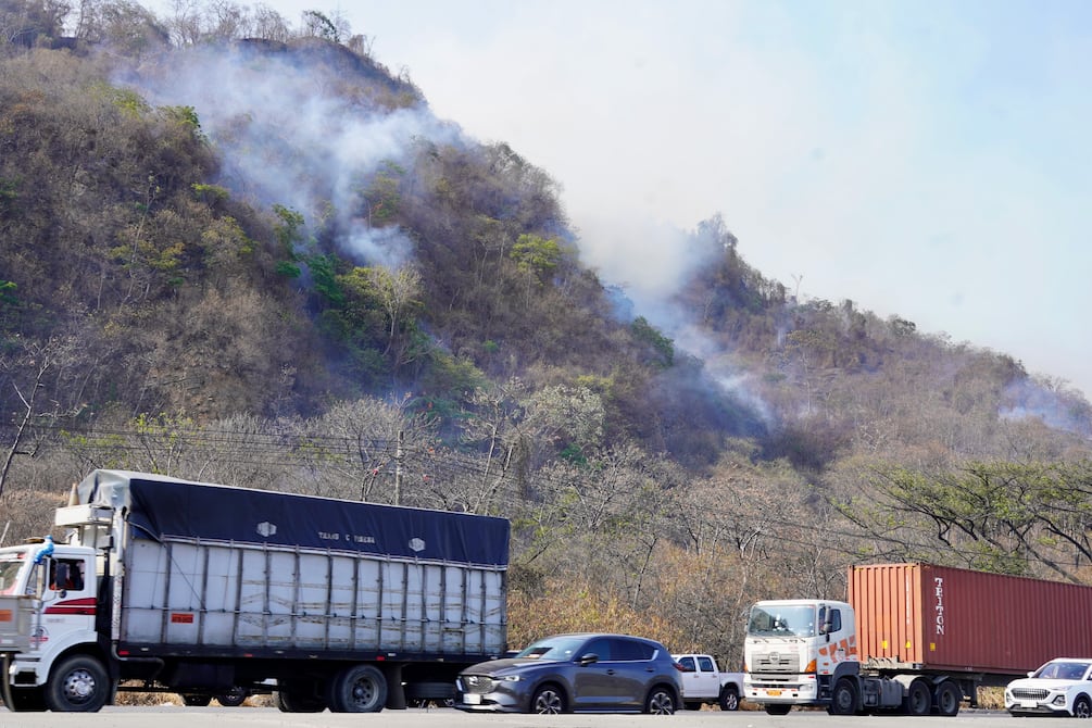 COE Cantonal de Guayaquil solicita al Ministerio de Educación suspender clases en el distrito Ceibos por incendio en cerro Azul | Comunidad | Guayaquil