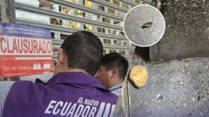 Cucarachas y alimentos ubicados en el piso se hallaron en local de comidas en centro comercial de Guayaquil | Comunidad | Guayaquil