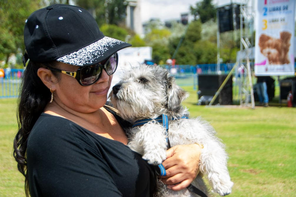 Listo informe del proyecto de defensa y protección de los derechos de los animales | Política | Noticias