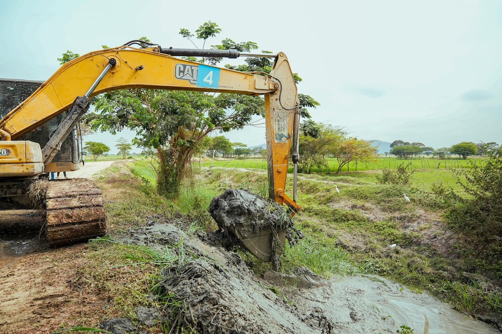 Maquinaria, diésel y plantas de cacao, entre las compras de las prefecturas de Guayas y Pichincha, que adjudicaron $ 97 millones en diez meses