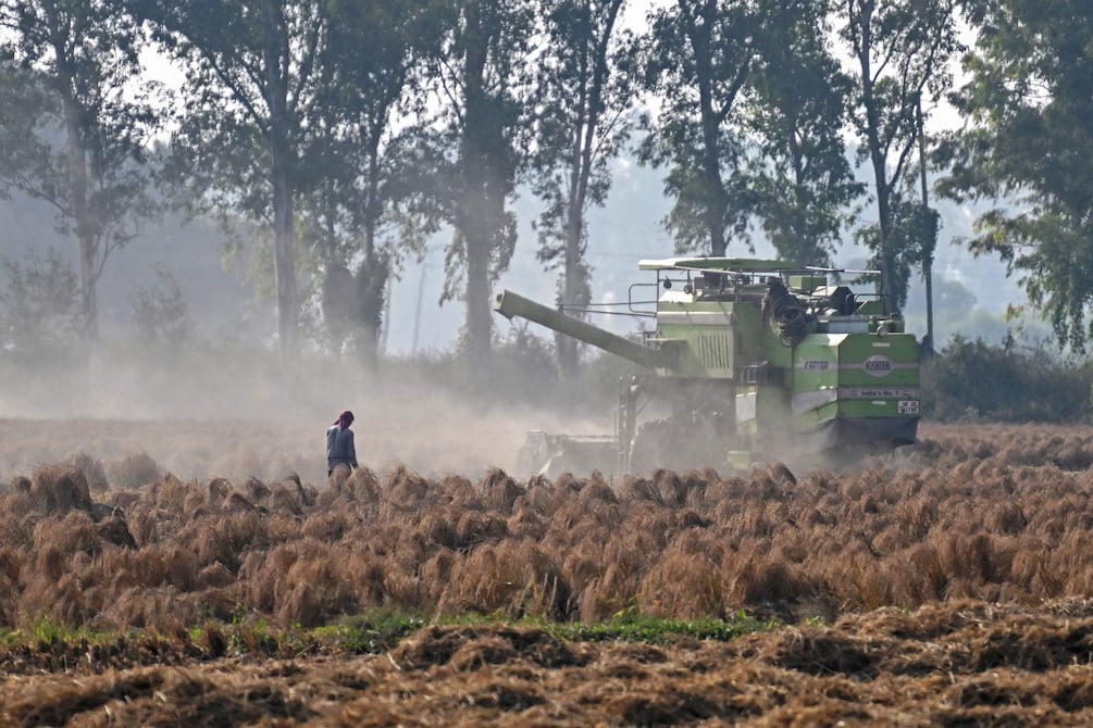 ONU: agricultura intensiva y deforestación llevan al planeta al borde del precipicio | Internacional | Noticias