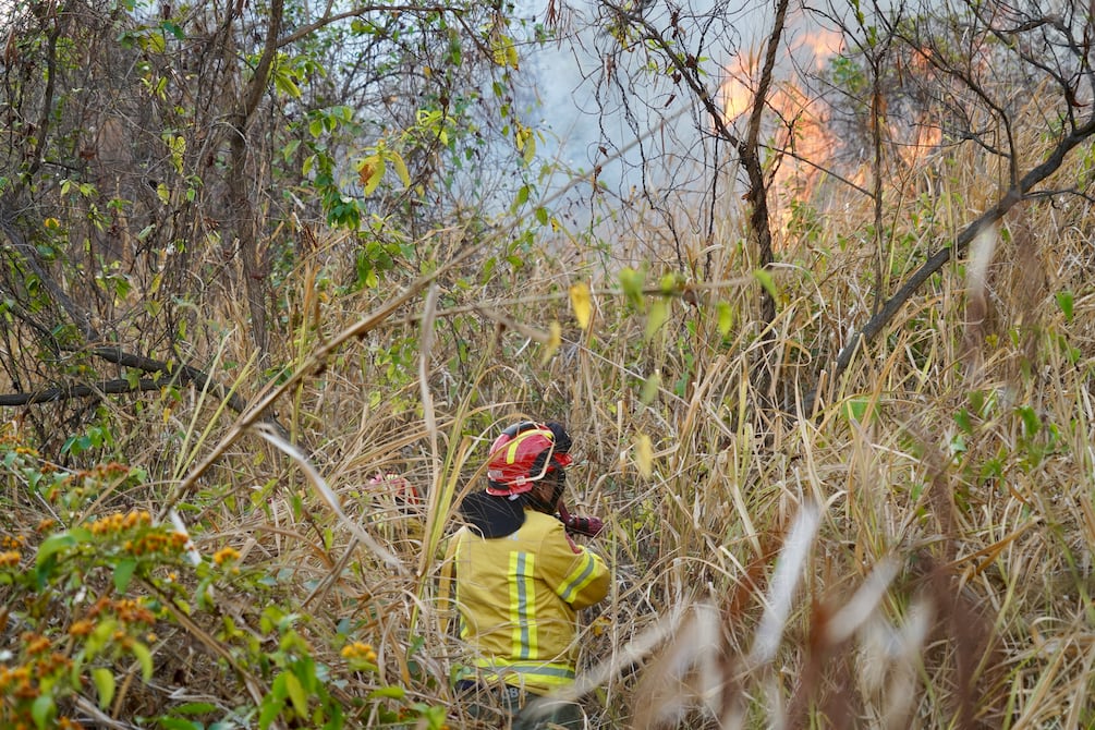 Suben a 82 las hectáreas afectadas por incendio forestal en cerro Azul | Comunidad | Guayaquil