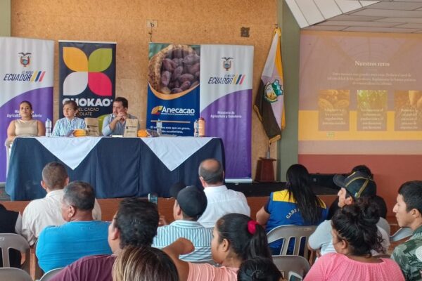 80 productores de cacao de El Oro se preparan para asistir a rueda de negocio | Economía | Noticias