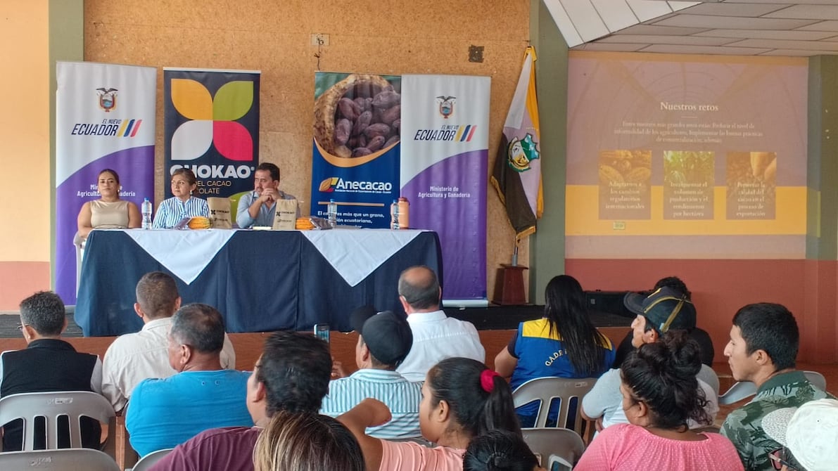 80 productores de cacao de El Oro se preparan para asistir a rueda de negocio | Economía | Noticias