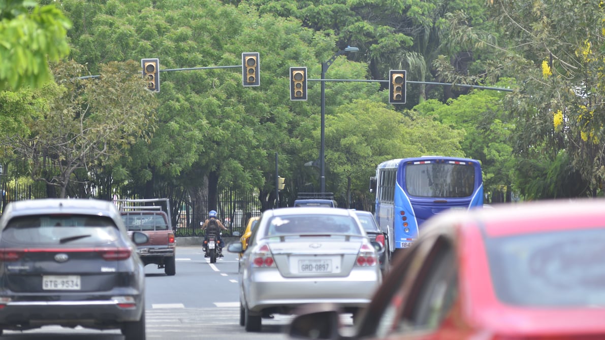 “Hay quienes no frenan, cada quien quiere pasar”: semáforos sin funcionar se replican en diversas zonas de Guayaquil y generan riesgo de siniestros viales | Seguridad | Noticias